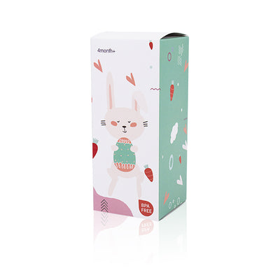 Fruit Feeder Teether